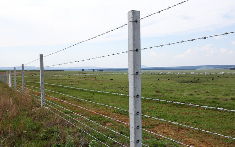 Everything You Need to Know About Fences in Kenya